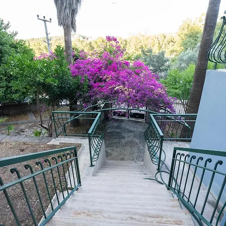 Shato Turgut Daily Weekly Διαμέρισμα