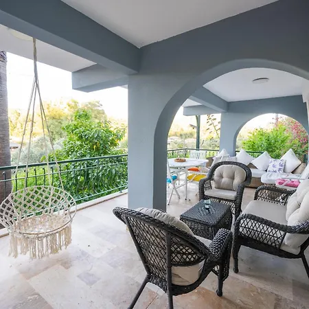 Shato Turgut Daily Weekly *