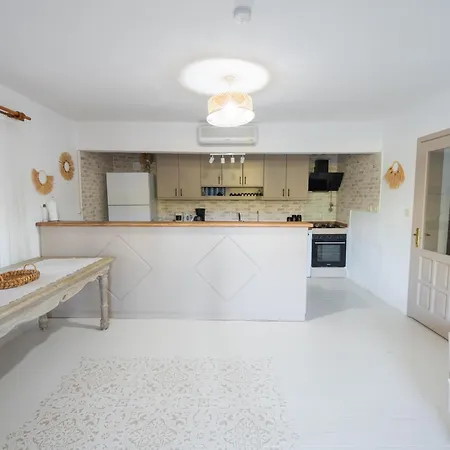 Shato Turgut Daily Weekly