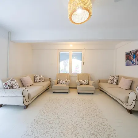 Shato Turgut Daily Weekly